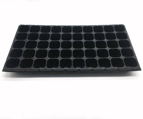 50 Cavity Transplanting Nontoxic Seed Germination Tray With Lid