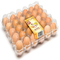Κατάλληλο 8pcs 0.7mm πλαστικός δίσκος επωαστήρων αυγών μεταφορών χαρτοκιβωτίων αυγών PVC