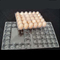 15packs μίας χρήσης δίσκος 71mm αυγών της PET σαφής πλαστικός τετραγωνικός κάτοχος δίσκων αυγών