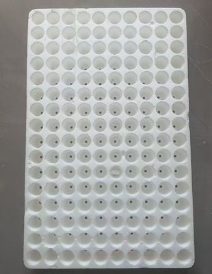 Στρογγυλό πλωτό δίσκο δενδροφυτείας 160 θέσεων