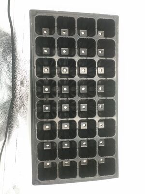 Δίσκος σποράς πλαστικός 32 κυψελών, πάχους 2mm για δενδρύλλια δασικών δέντρων - Ανθεκτικός στη γήρανση και ανθεκτικός