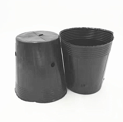 HDPE πλαστική φυτική κατσαρόλα Σπόροι κρεμμυδιού Καλλιέργεια μαύρων κατσαρόλων για θερμοκήπια
