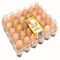 9pcs Stackable πλαστικός κάτοχος 152mm αυγών τετραγωνικός δίσκος ρύθμισης αυγών επωαστήρων