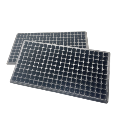 2mm thick128-cell seedling tray, sowing tray