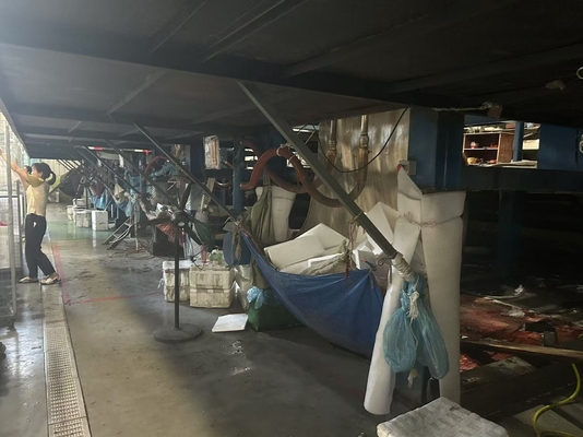 Ηλεκτρονική συσκευασία Κερματική συσκευασία Γυάλινη συσκευασία Αδύναμη συσκευασία EPS συσκευασία