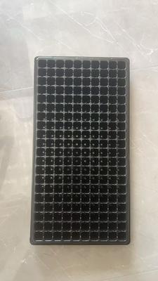 Δίσκος σποράς πλαστικός 2mm, 50 θέσεων για δασικά δέντρα - Ανθεκτικός στη γήρανση και ανθεκτικός