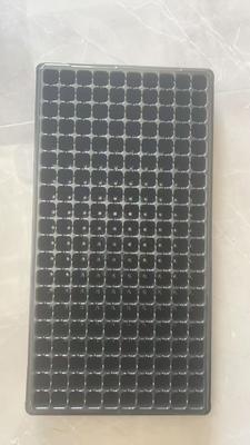 2mm thick 200-cell seedling tray, sowing tray