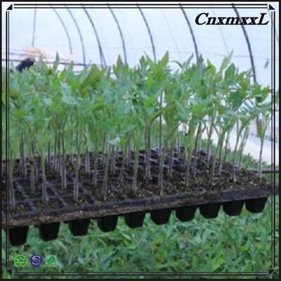 2 mm πάχος 32 50 98 108 118 200 κυττάρων πλαστικό δίσκο φυτεύματος για δάση - ανθεκτικό στην γήρανση και ανθεκτικό