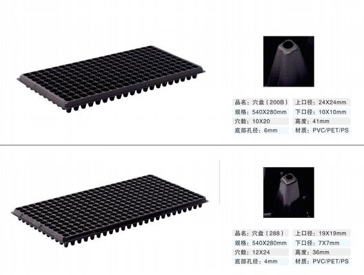 Πλαστικό Δισκάκι Φυτωρίου 200 Θέσεων - Πάχους 2mm και Ανθεκτικό στη Γήρανση για Ανθεκτική Διάδοση Φυτών