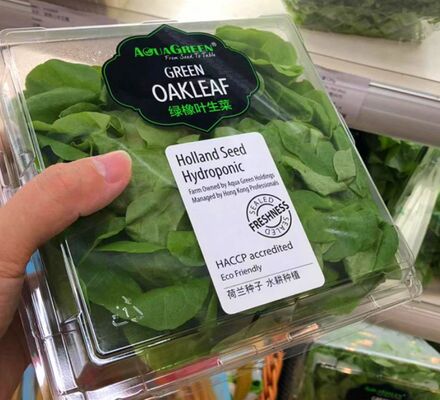 Customized Design Recyclable PET Plastic Blister Packaging with Heat Sealing for Fresh Produce