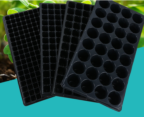 thickened seed tray,standard nursery tray,rigid plug tray,multiple cavity tray,uniform cell tray,flat seed starting tray,PS plastic seed tray,PVC nursery tray