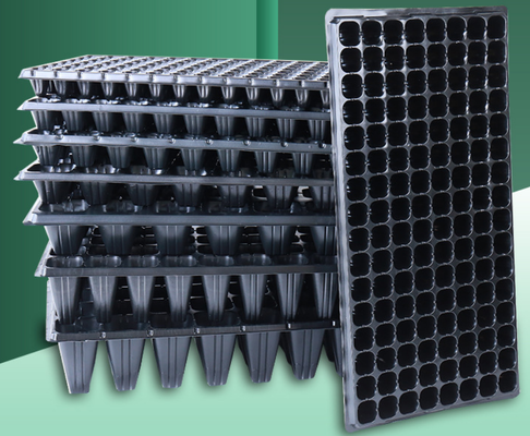 thickened seed tray,standard nursery tray,rigid plug tray,multiple cavity tray,uniform cell tray,flat seed starting tray,PS plastic seed tray,PVC nursery tray