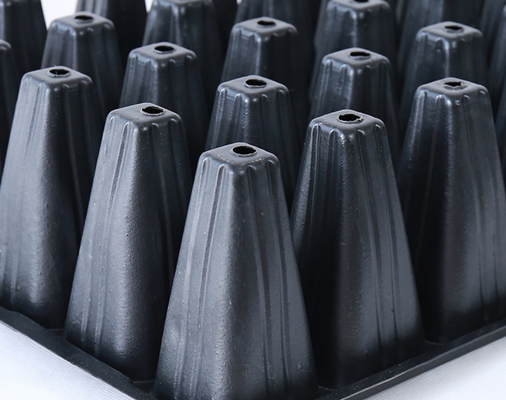 δίσκος δενδρυλλίων δίσκος εκκίνησης σπόρων