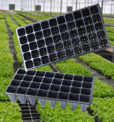 Wholesale seedling trays, plug trays, seedling boxes for vegetables, plastic seedling containers, seedling cutting boxes, agricultural trays and pots