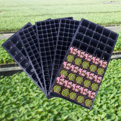 Sowing trays, forest tree sowing trays, deepening sowing trays, seedlings of succulent plants, vegetables, plastic seedling trays, sowing pot trays, cultivation pot trays