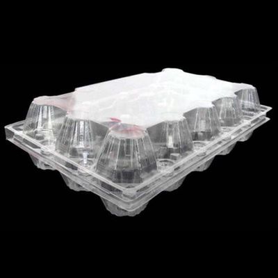 15packs μίας χρήσης δίσκος 71mm αυγών της PET σαφής πλαστικός τετραγωνικός κάτοχος δίσκων αυγών